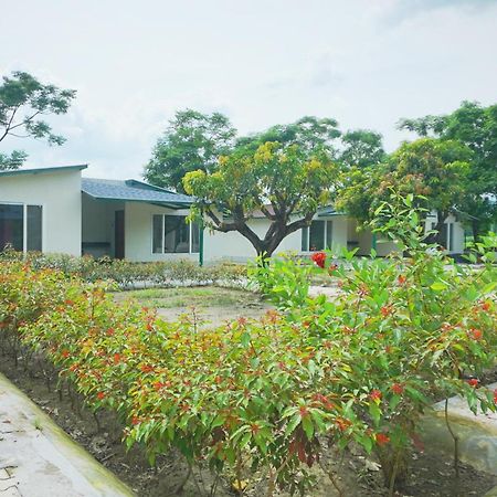 Sukoon - A Wellness Resort, Uttarakhand Chuharpur Zewnętrze zdjęcie