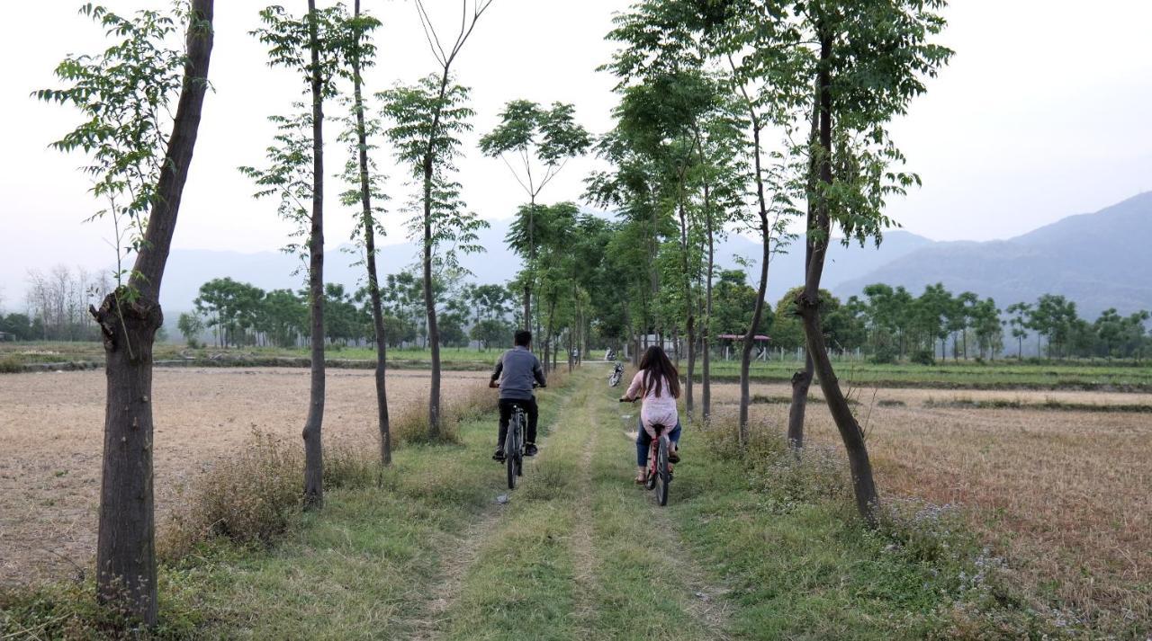 Sukoon - A Wellness Resort, Uttarakhand Chuharpur Zewnętrze zdjęcie