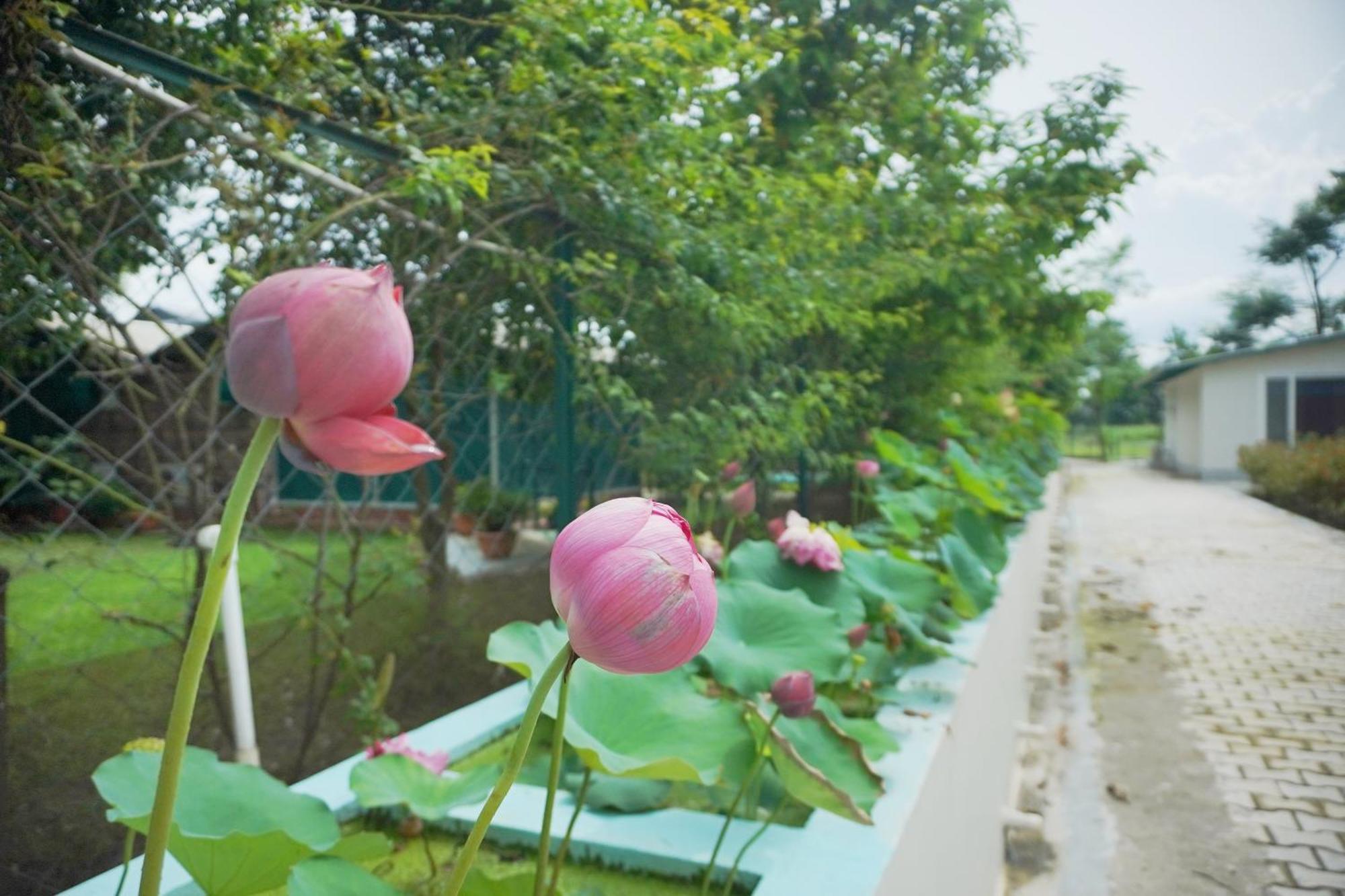Sukoon - A Wellness Resort, Uttarakhand Chuharpur Zewnętrze zdjęcie